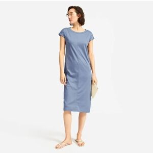 EUC Everlane Dress